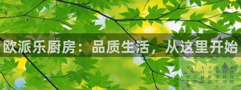 摩登7级