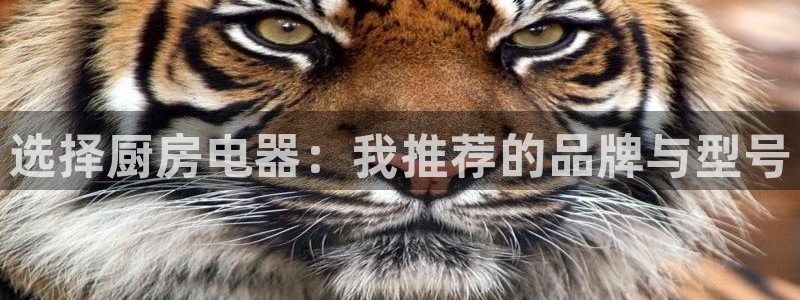 摩登7上