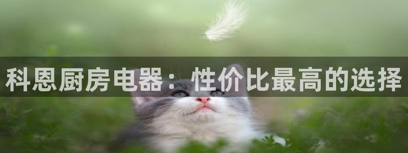 摩登7上