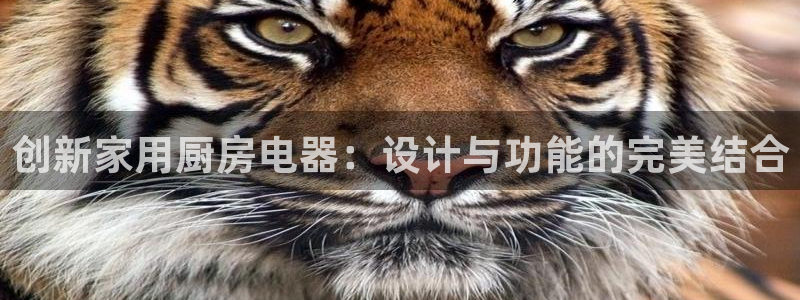 摩登7 1 1