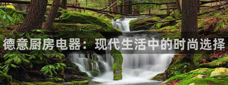 摩登6吕7O667