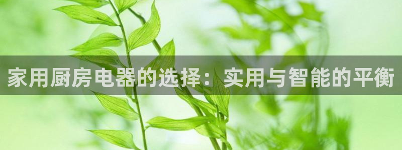 摩登6月7O667