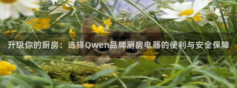 摩登4左7O667