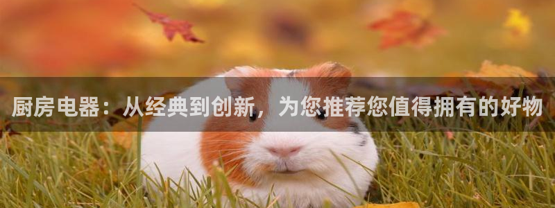 摩登7平台咱7O777
