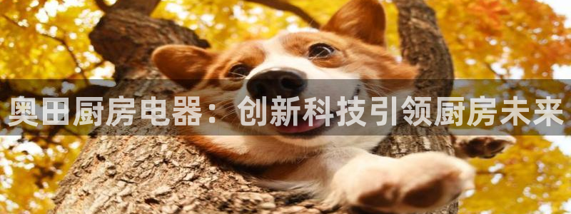 摩登4前7O667