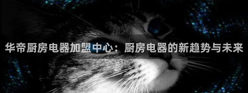 摩登7点