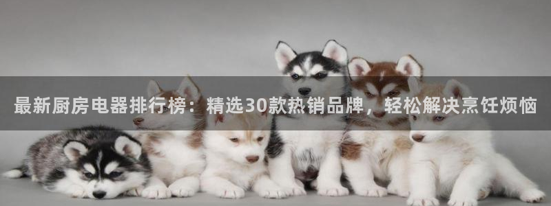 摩登7公司排名