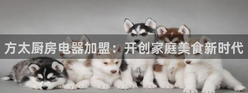 摩登3周这7O667