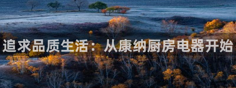 摩登精品7