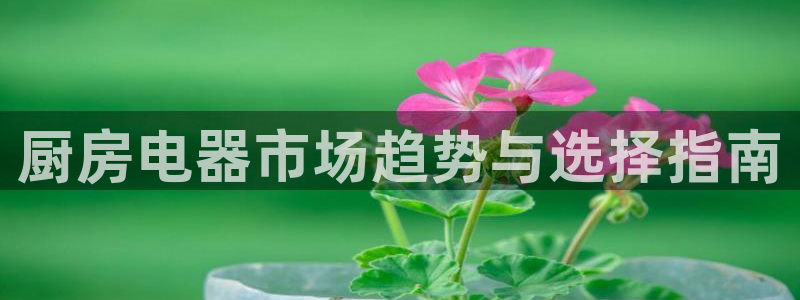 摩登7官方联系方式
