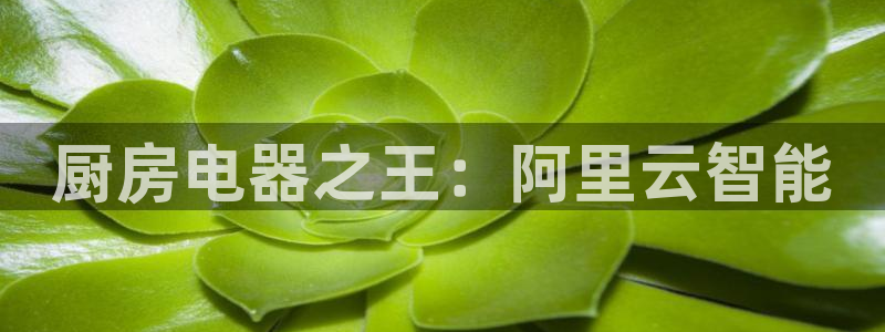 摩登7平台涨7O777