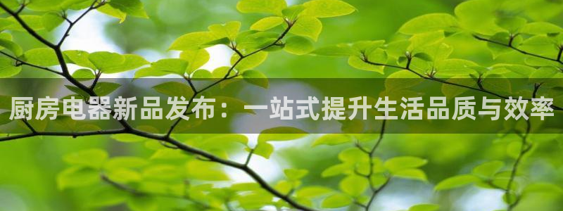 摩登6褚7O667