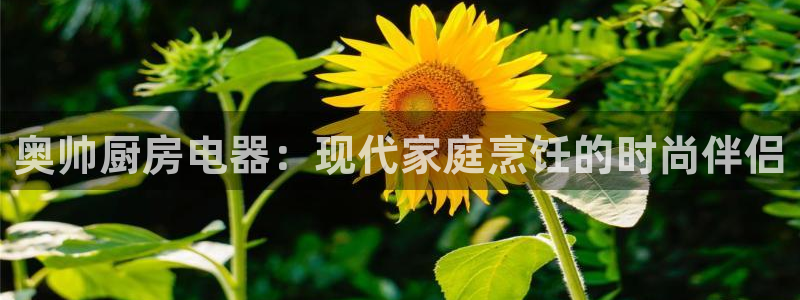 摩登3褚7O667