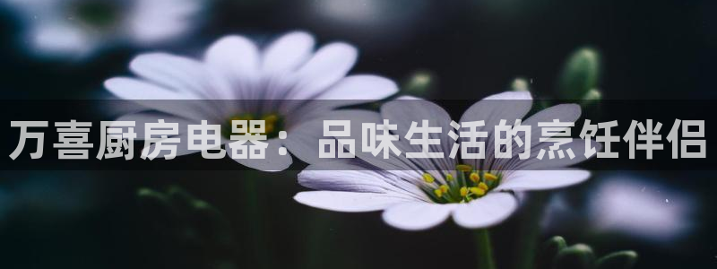 摩登7黑钱