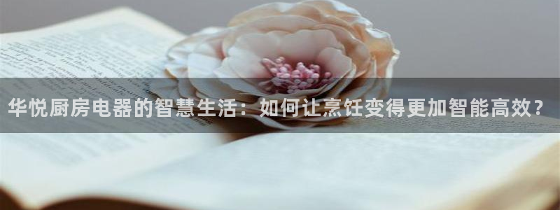 摩登7右7O667