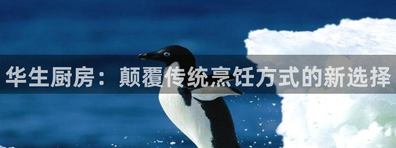摩登6冯这7O667