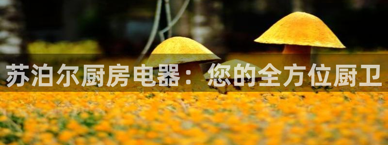 摩登 7